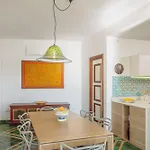 Posea Collection - La * بوسيتانو