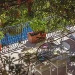 فيلة Posea Collection - La *