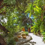 فيلة Posea Collection - La *