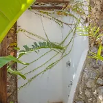 Posea Collection - La فيلة *