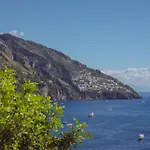 Posea Collection - La فيلة