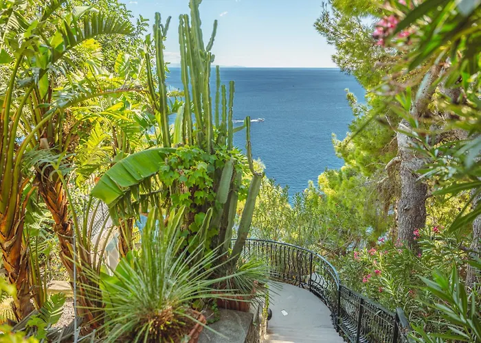 Posea Collection La *